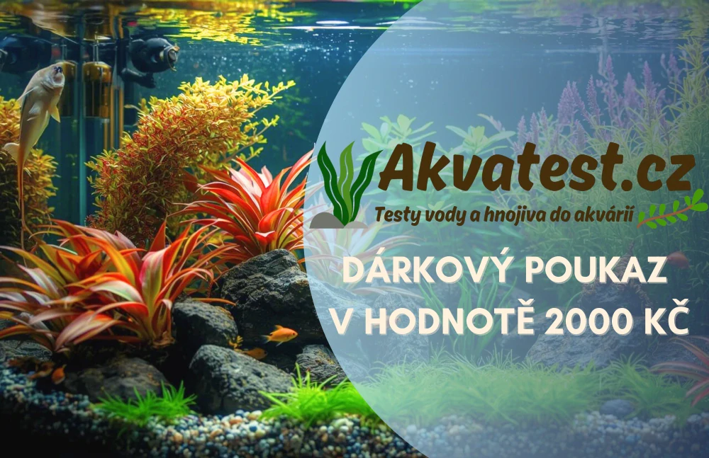 Dárkový poukaz