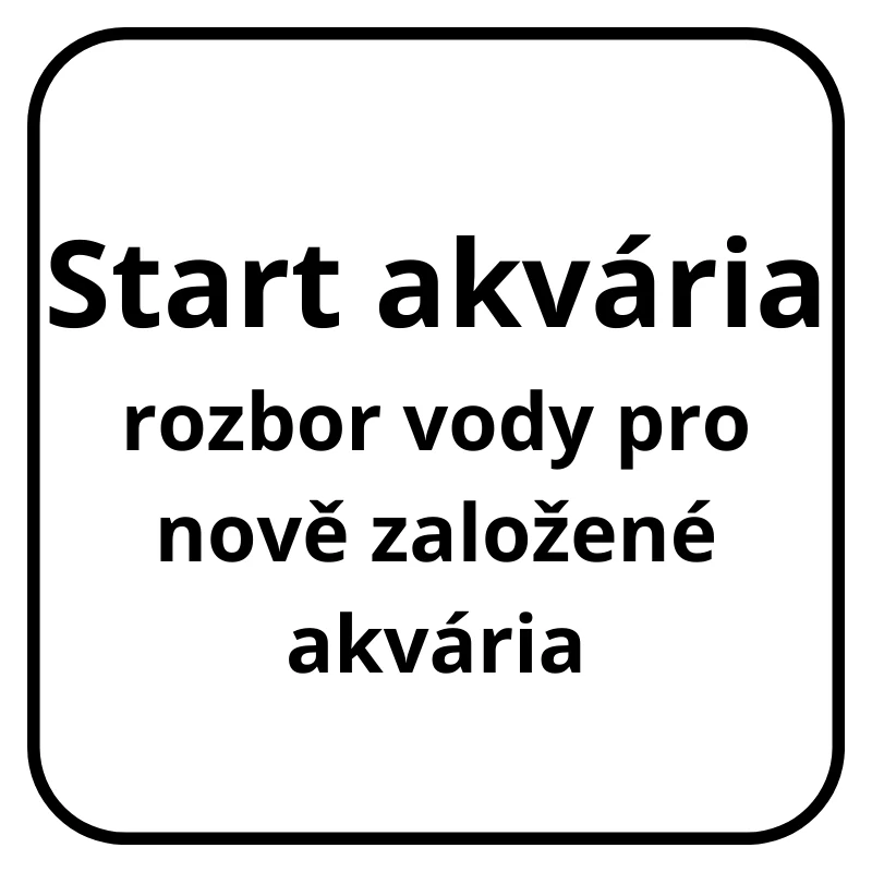 Start akvária- kontrola vody před přidáním ryb