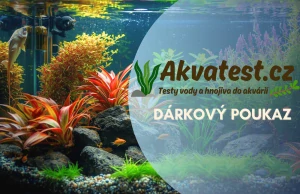 Dárkový poukaz