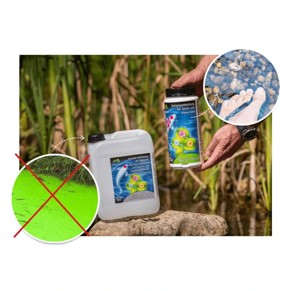 HomePond Bacter Pond Bakterie do jezírka 500 g