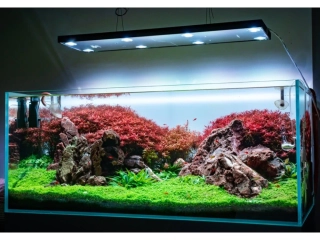 Světlo pro sladkovodní akvárium Skylight Hyperspot S