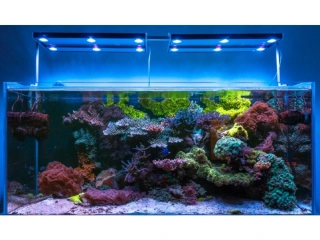 Světlo pro mořské akvárium Skylight Hyperspot R